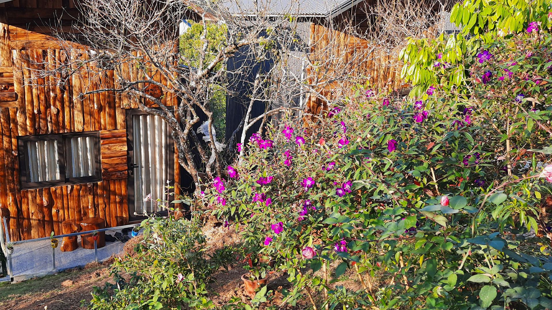 Family House